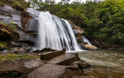 Trabalho Remoto: Liberdade ou Prisão Digital?